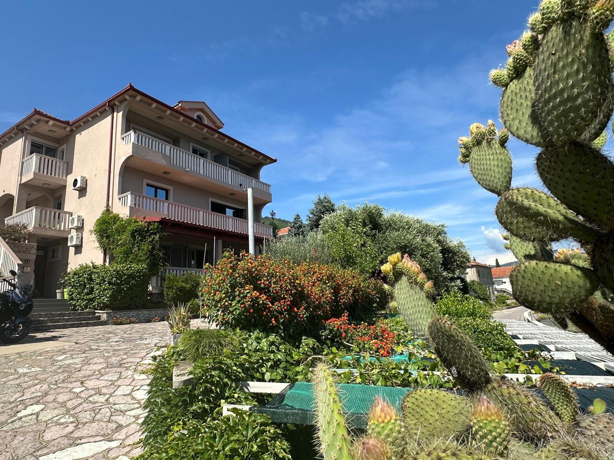 Vila Jadranka Apartments Херцег-Нови Экстерьер фото